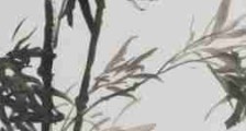 官宣成谣言温床,权益保障路在何方?